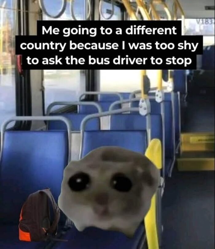 A funny meme with a sad cat face on a bus, captioned about being too shy to ask the driver to stop.