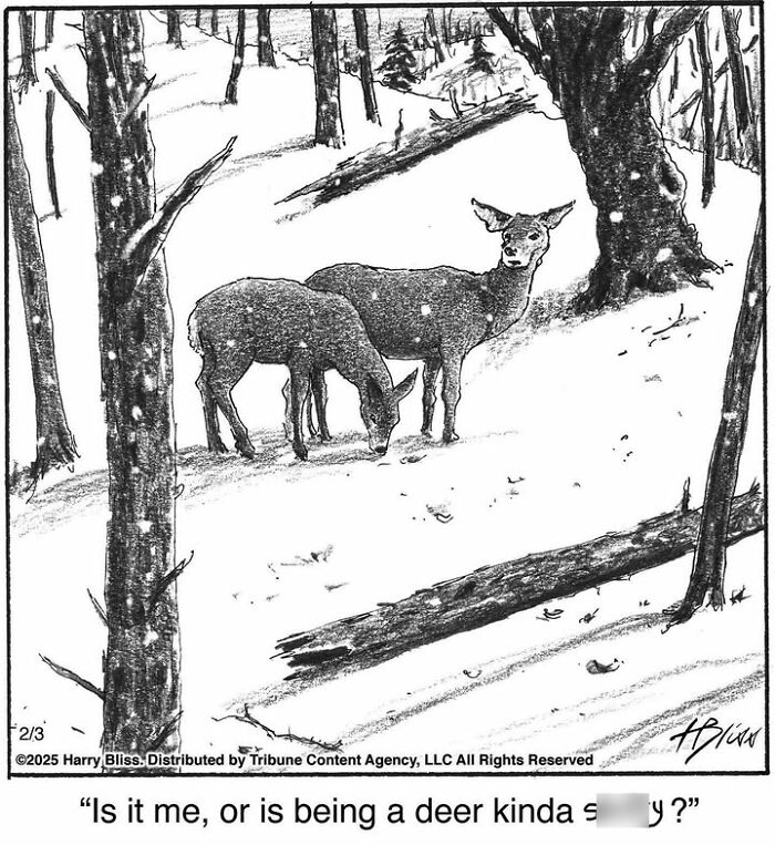 Two deer in a snowy forest featuring Harry Bliss comics humor.