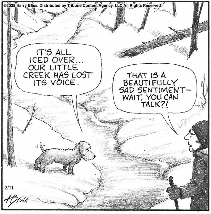 Dog and person by iced creek in one-panel comic by Harry Bliss, discussing the creek's silence.