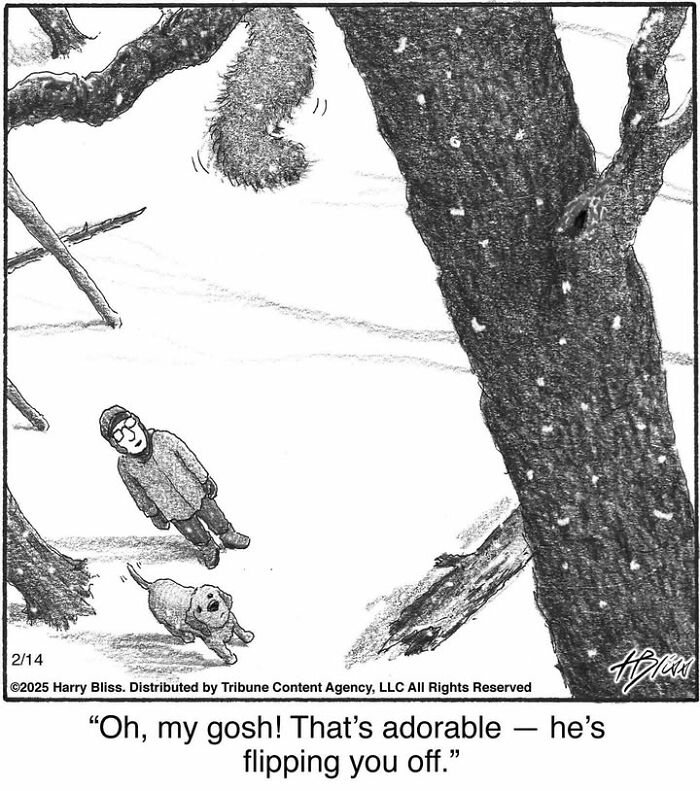 A humorous one-panel comic by Harry Bliss featuring a squirrel on a tree with a person and a dog below.