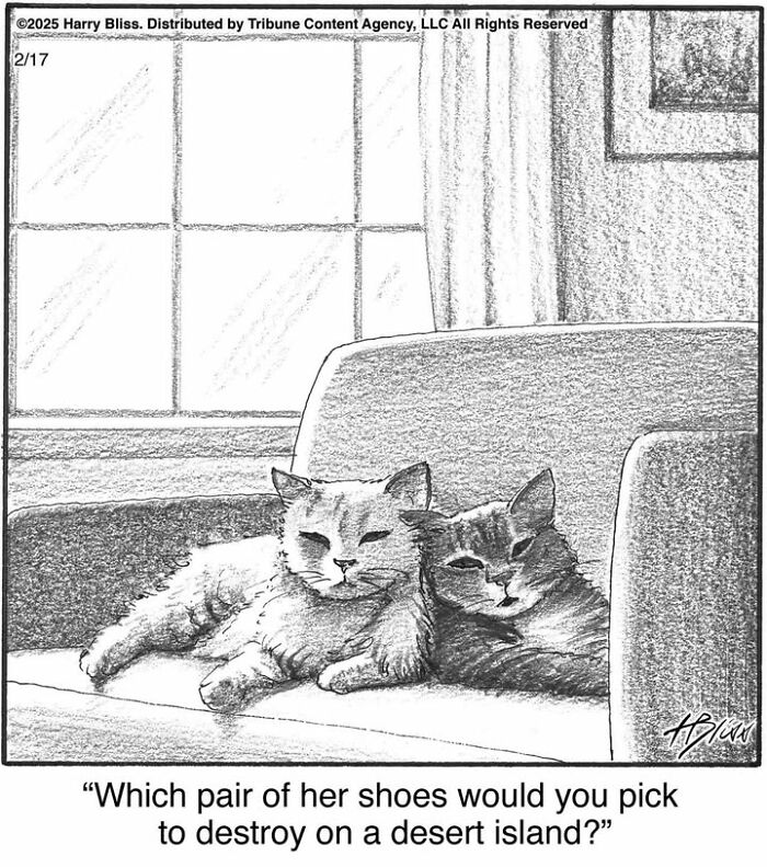Two cats lounging on a sofa having a humorous conversation. One-panel comic by Harry Bliss.