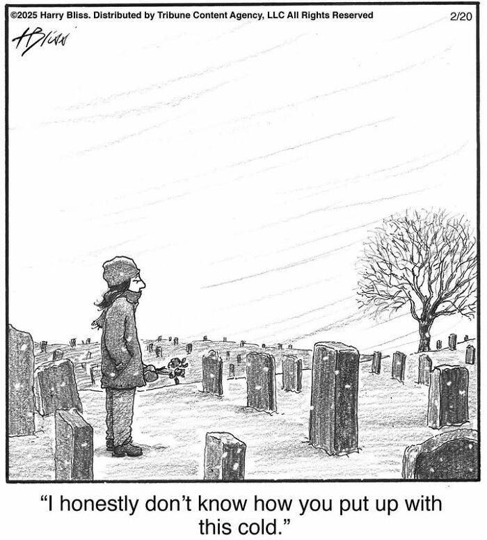 A person in a snowy cemetery saying, "I honestly don't know how you put up with this cold." One-panel comic by Harry Bliss.