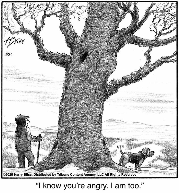 A one-panel comic by Harry Bliss showing a person with a dog by a large tree, with humorous dialogue.