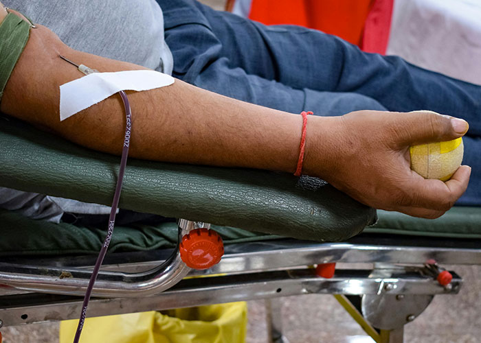 “What Is The Most Wholesome Fact You Know?” (35 Answers)