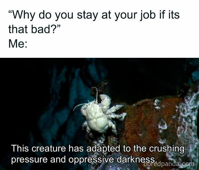 Meme with a crab and text comparing job frustration to adapting to darkness, fitting the "50 Nerds Of Grey" humor theme.