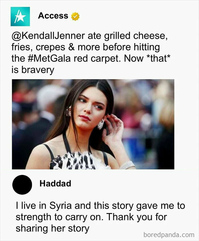 Person in patterned dress featured in humorous meme about bravery, reflecting nerdy humor.