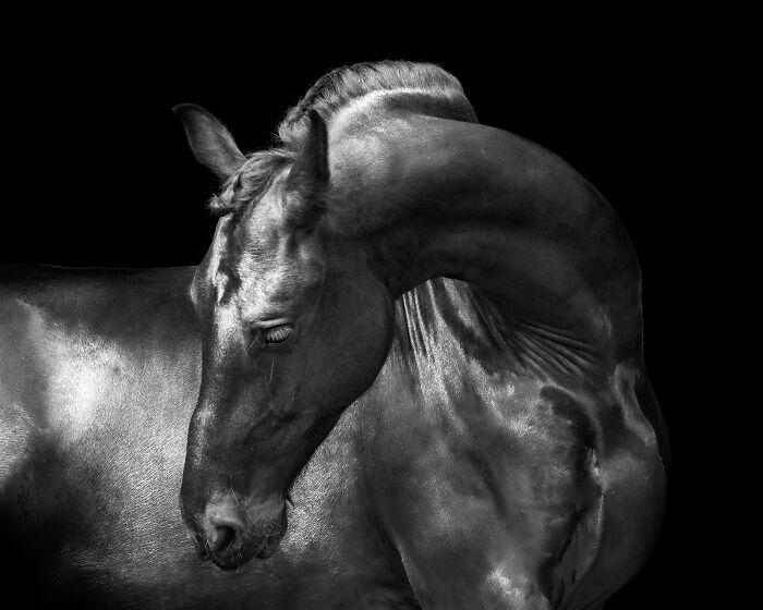 "Unreal" By Nannie Van Berkel-Hijlkema