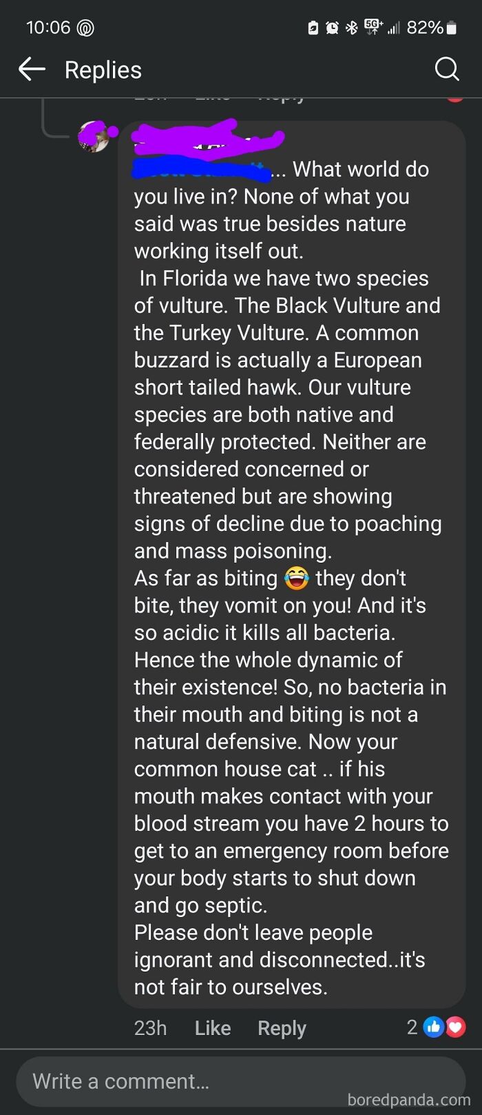 Social media comment with incorrect correction about vultures and buzzards, highlighting a lack of understanding.