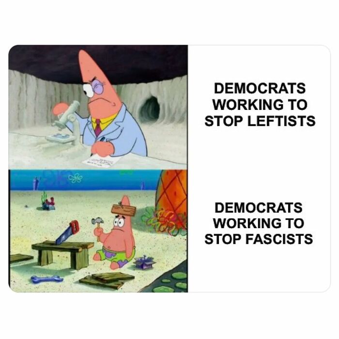 Patrick from SpongeBob in a satirical anti-capitalism meme about political efforts, contrasting intentions and actions.