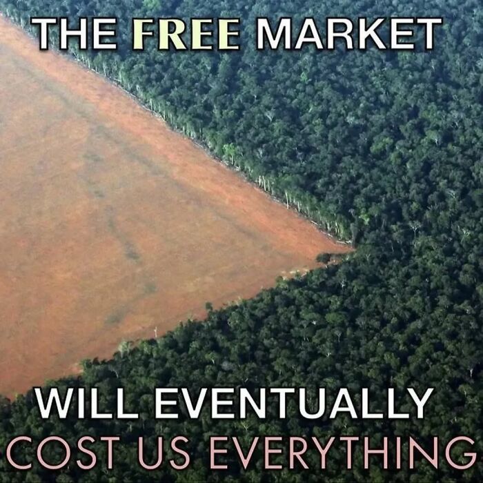 Aerial view of deforestation, illustrating anti-capitalism message about the environmental cost of the free market.