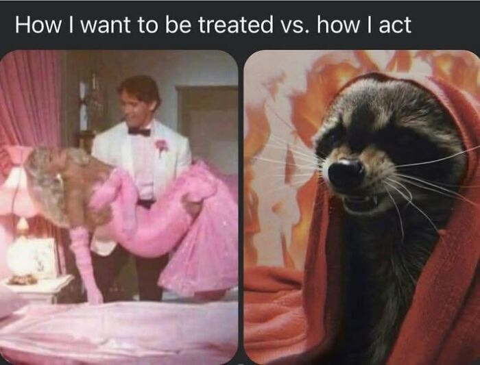 Side-by-side meme: classic romantic scene vs. raccoon wrapped in a red blanket. Mental health humor.