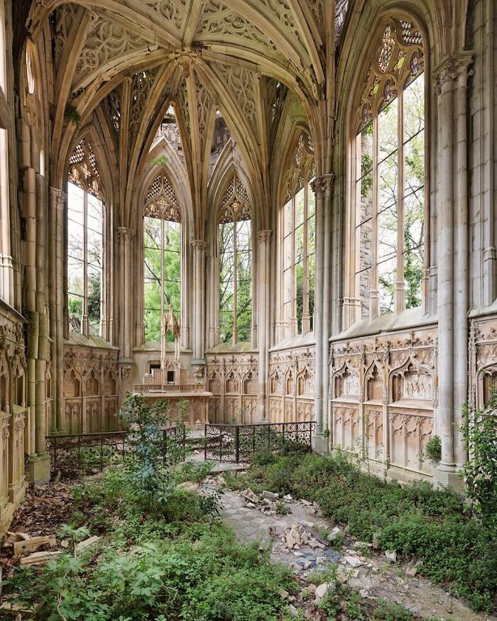Overgrown plants inside a gothic church ruin, illustrating nature reclaiming civilization.