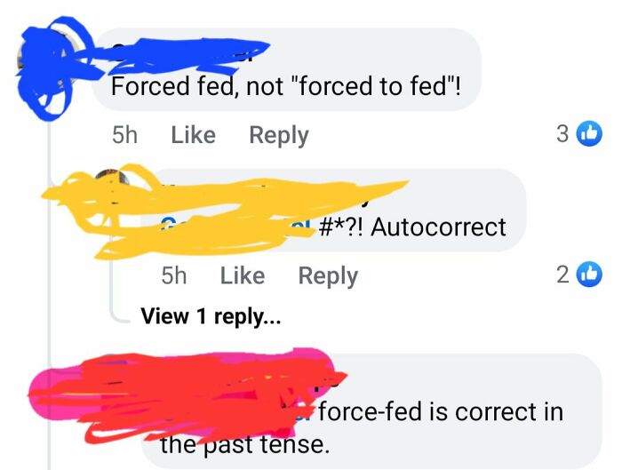Social media exchange where users incorrectly correct grammar, highlighting courage over brains.