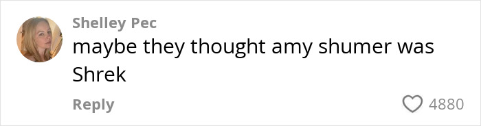A comment criticizing Amy Schumer's movie on Netflix, likening her to Shrek, with 4880 likes.