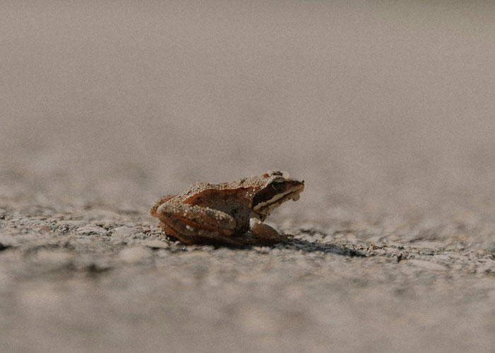 “What Is The Most Wholesome Fact You Know?” (35 Answers)