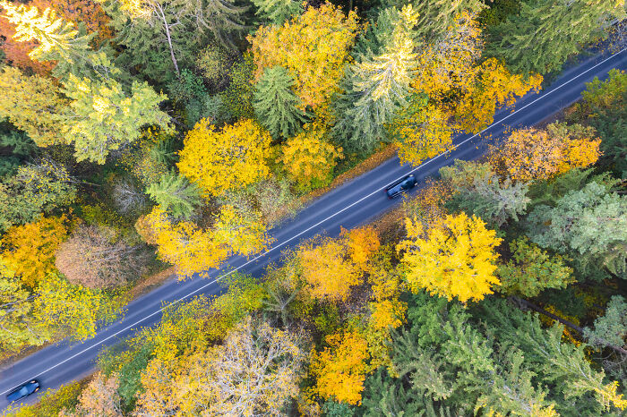 Bird's-eye view of Lithuania with a road cutting through vibrant autumn forest.