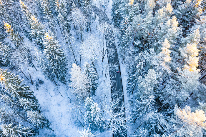 Aerial view of Lithuania, showcasing a snow-covered forest road surrounded by frosted trees.
