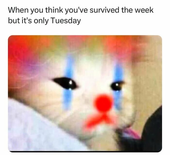 A cat with clown makeup captures the feeling of a long week, embodying mental health memes humor.