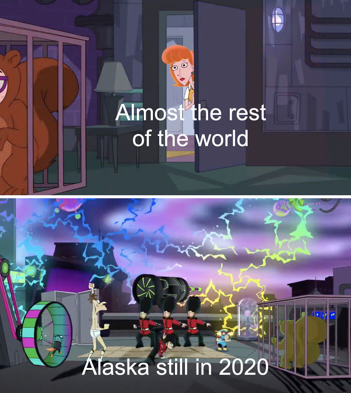Alaska meme showing a chaotic animated scene contrasting with a character peeking from a door labeled "Almost the rest of the world."