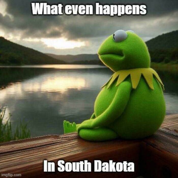 Kermit meme humorously represents South Dakota by a serene lake.