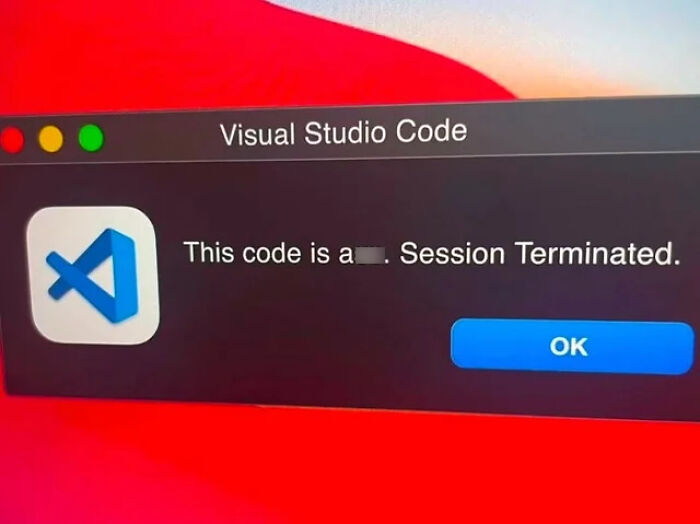 Visual Studio Code meme showing humorous terminated session message for programmers.