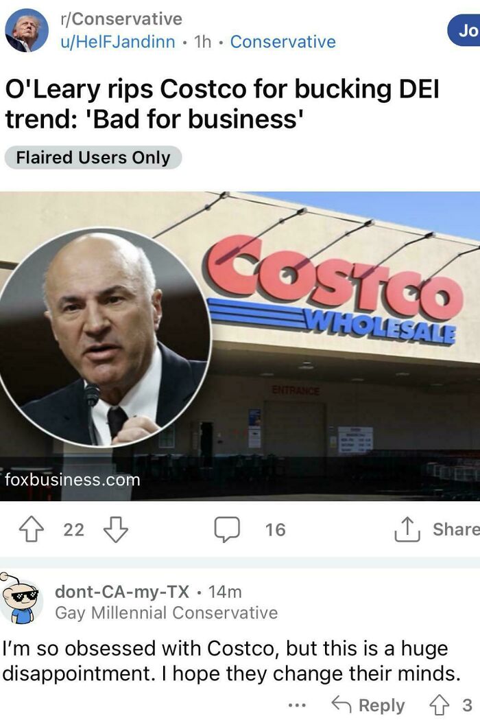 Reddit post showing debate over Costco and DEI, highlighting facepalm moments and common sense challenges in America.