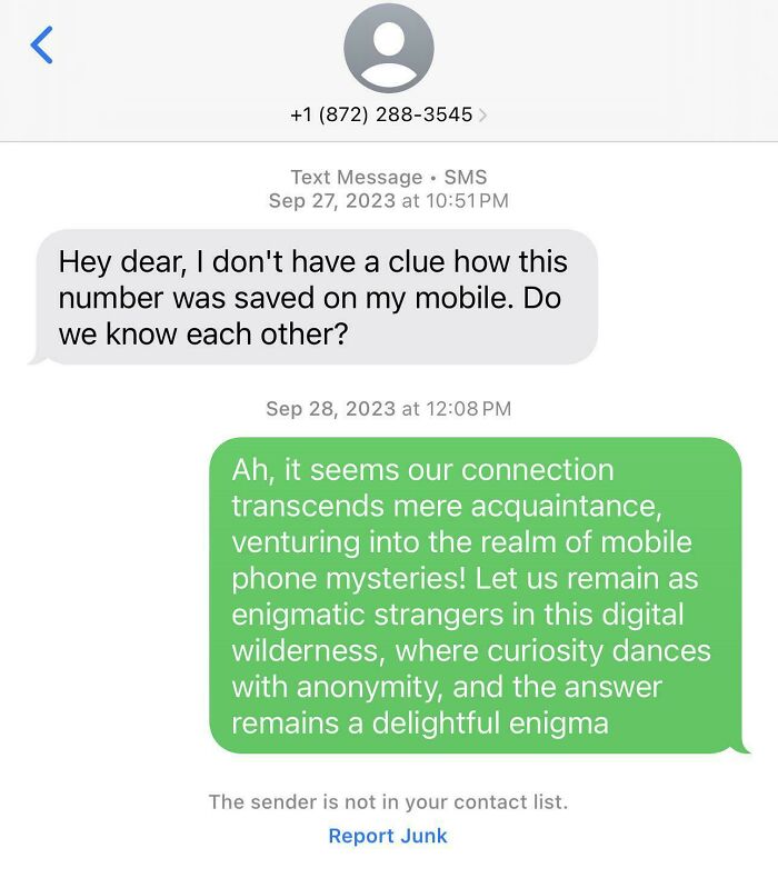 Text exchange showing a hilariously unhinged wrong number response about mobile phone mysteries.