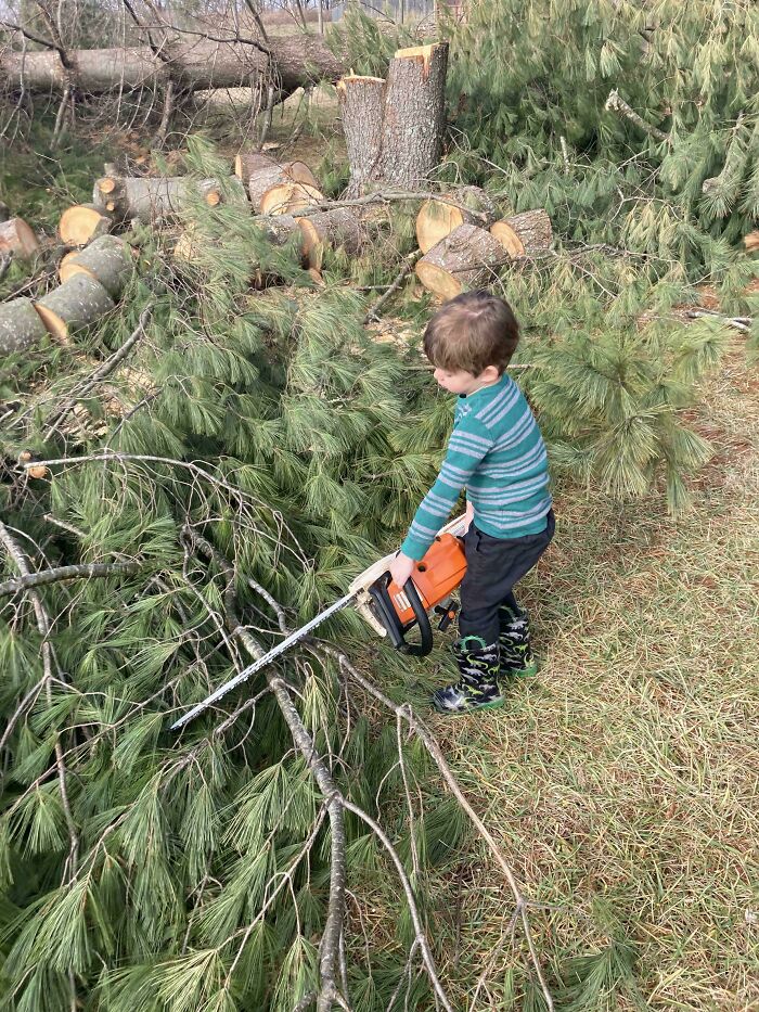 Young boy carefully using a chainsaw to cut tree branches in a wholesome parenting moment outdoors.