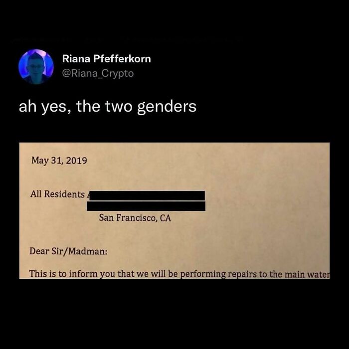Meme about gender from the avocado generation humorously addresses "Dear Sir/Madman" in a letter header.