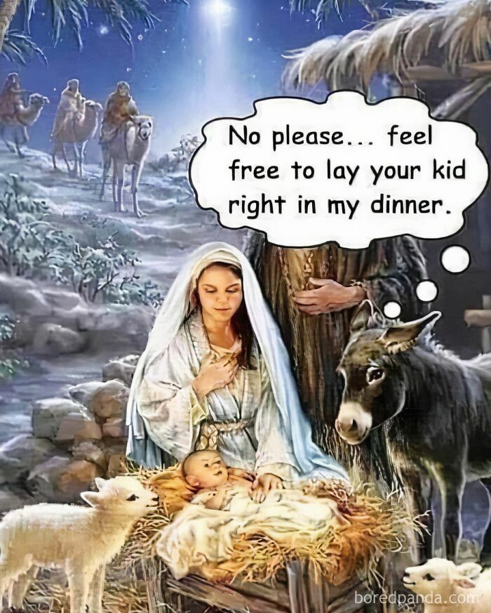 Funny-Relatable-Ig-Animal-Memes