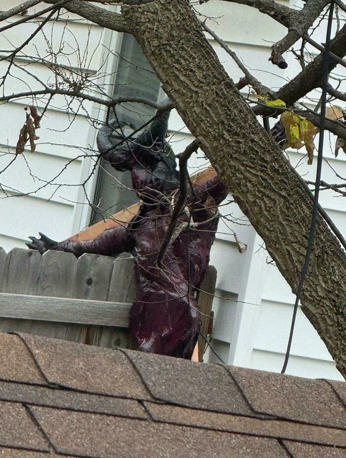 Terrible neighbors create bizarre yard display with a creepy figure behind a tree, unsettling the view beyond the fence.