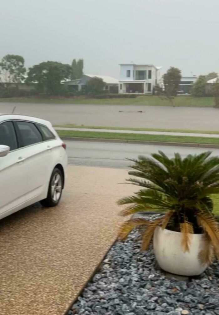 Flooded street in an Australian neighborhood, with a car parked on the driveway and a potted plant in the foreground.