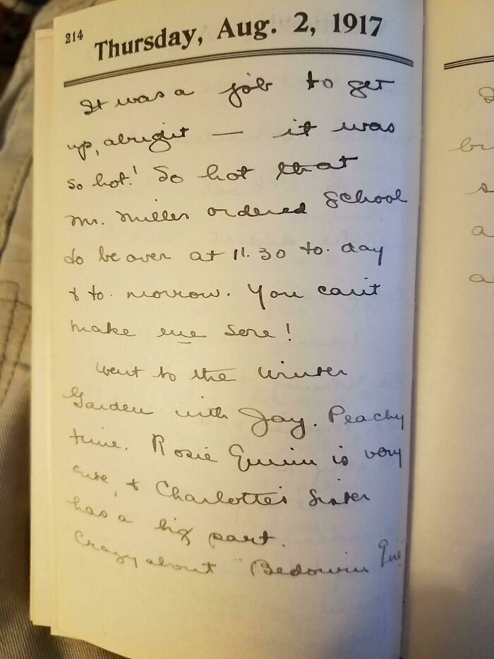 Diary entry dated August 2, 1917, showcasing handwriting from the past, a perfect example of cool old things.