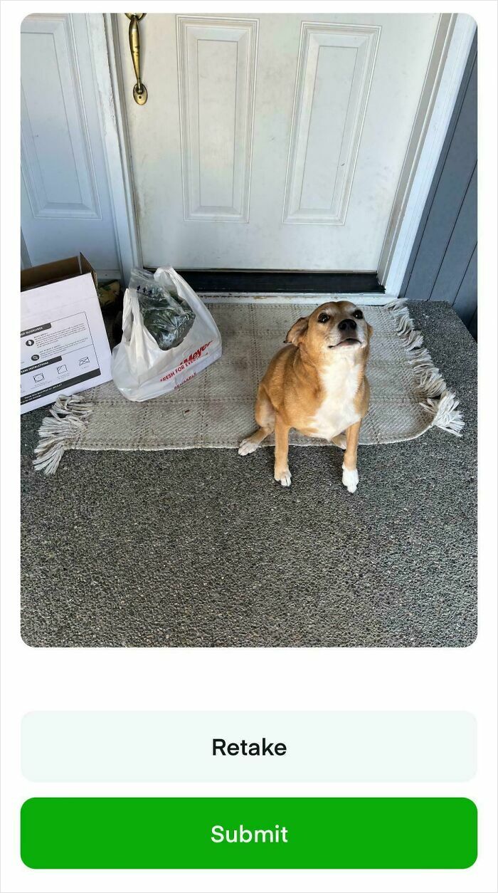 Instacart shopper delivery left at doorstep with a dog sitting on a mat.