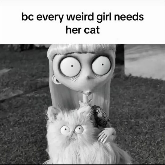 Cartoon girl with wide eyes holding a fluffy cat, captioned for humor, illustrating silly Facebook memes.
