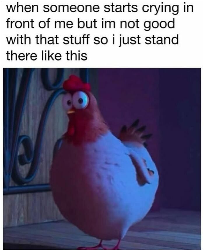 Cartoon chicken looking awkward, illustrating funny-silly Facebook memes.