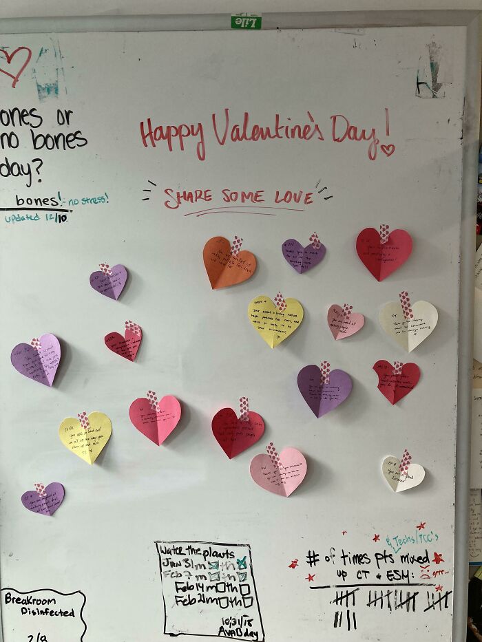 Heart-shaped notes on a whiteboard for a humorous Valentines Day display.