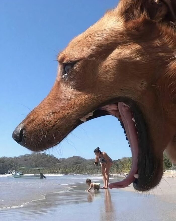 Wholesome animal pic of a dog appearing to "eat" people due to optical illusion on a beach.