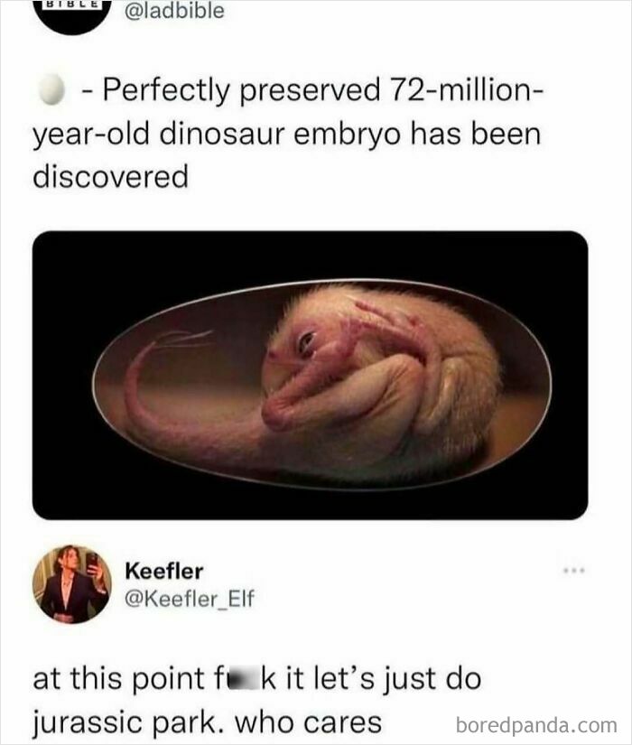 Dinosaur embryo meme with a tweet about creating Jurassic Park; humorous tweet response.