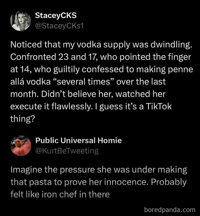 Funny meme about teens using vodka to make penne alla vodka and feeling like an Iron Chef to prove innocence.