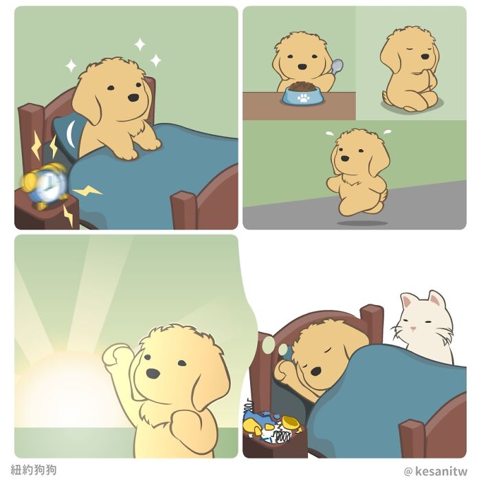 Cute human-like dog waking up, eating, meditating, stretching, and sleeping with a cat in a fun comic style.