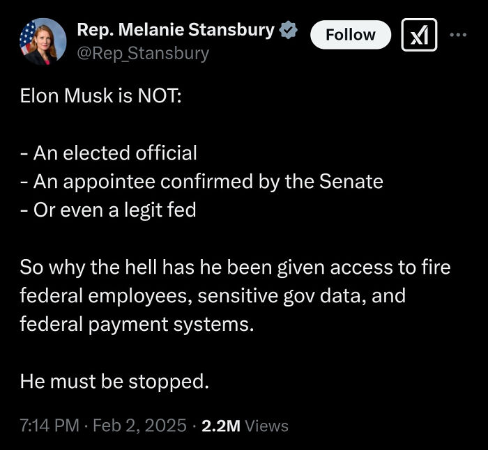 Tweet from Rep. Melanie Stansbury questioning Elon Musk's federal access, highlighting a facepalm moment in American common sense.