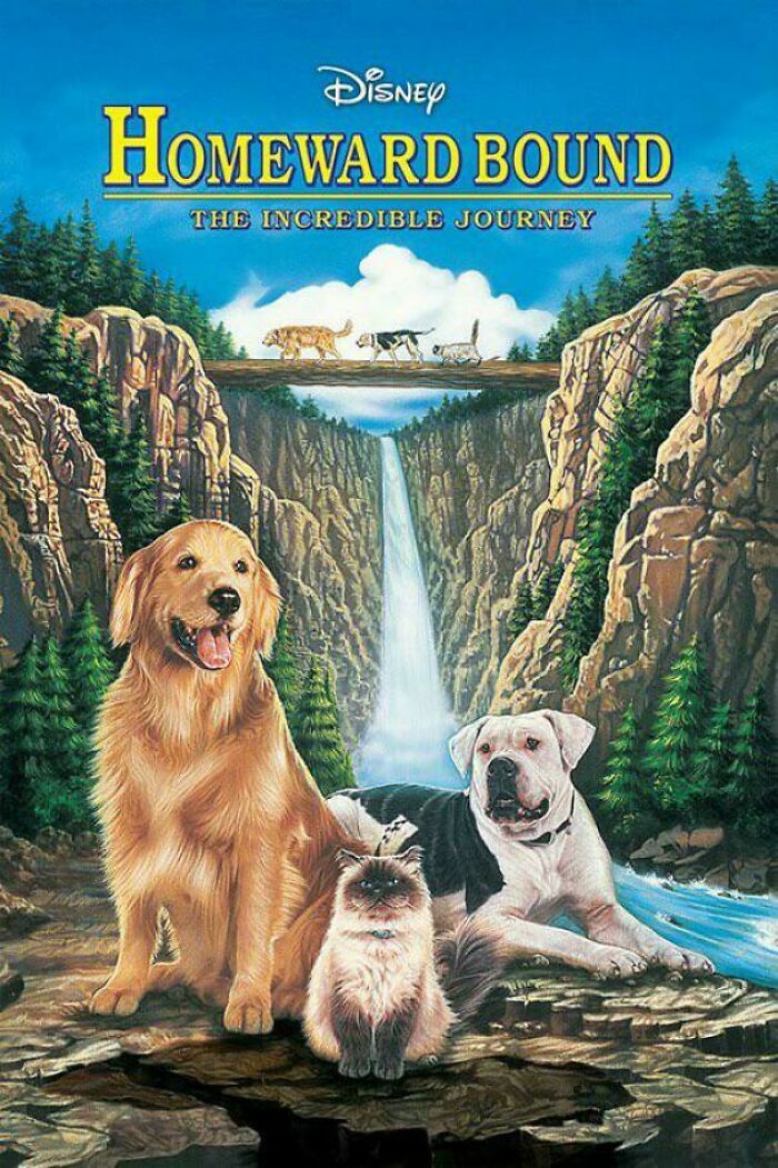 Cover art for "Homeward Bound: The Incredible Journey," featuring three animals in a scenic landscape, celebrating the '90s.