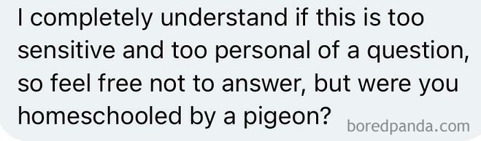Text message using sharp words humorously questions if someone was homeschooled by a pigeon.