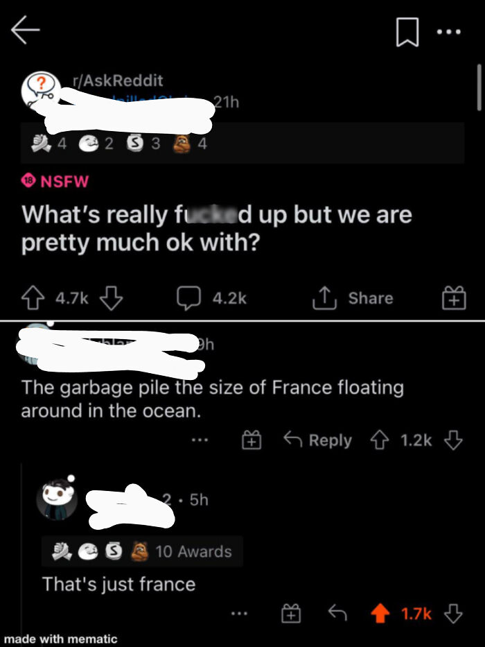 Reddit post displaying witty exchange weaponizing words, with users discussing ocean garbage compared to France.