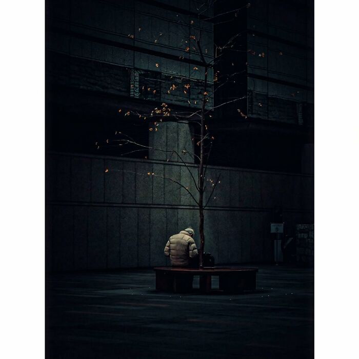 A lone person sitting by a tree, showcasing a minimalist and quiet side of Tokyo.