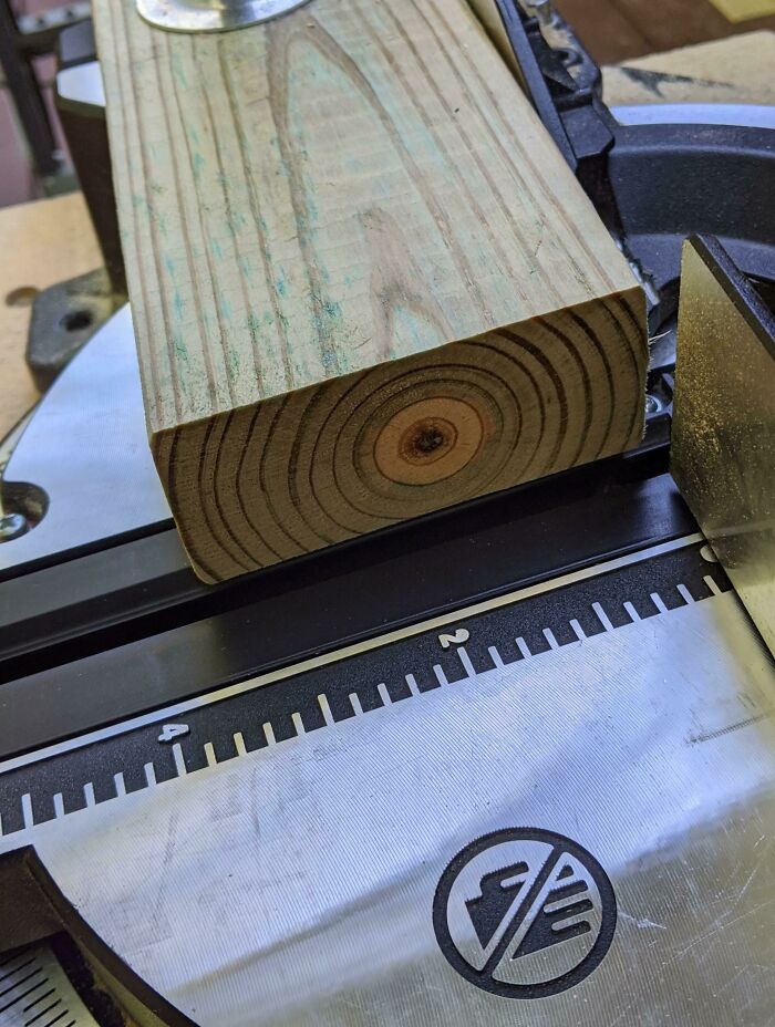 A piece of wood on a saw with a perfectly centered knot, showing mildly interesting symmetry.