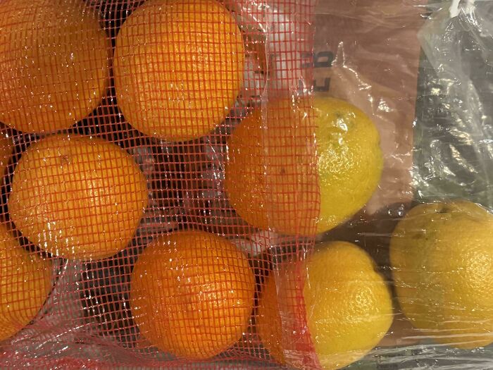 Oranges and lemons in a red mesh bag creating a mildly interesting contrast.