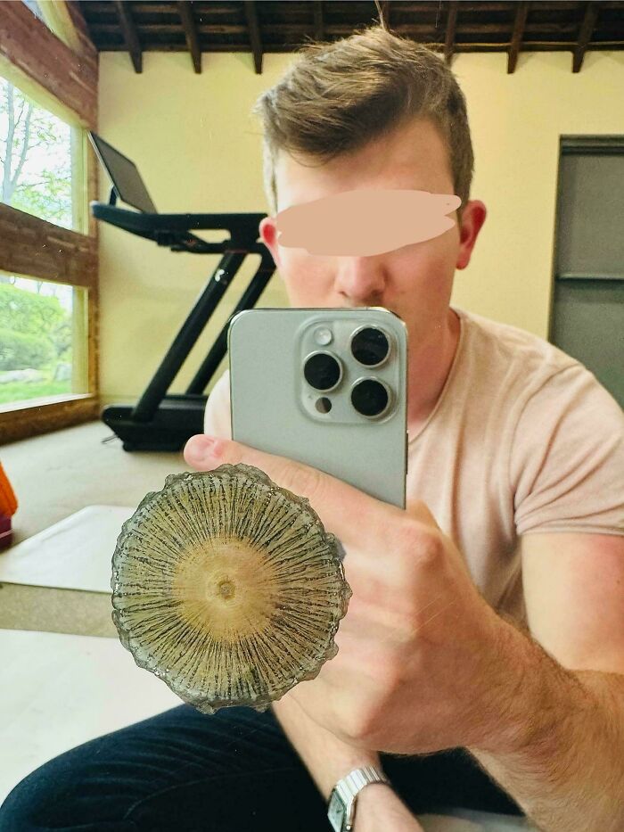 Person taking a mirror selfie with a large mushroom print on the glass, showing a mildly interesting detail.