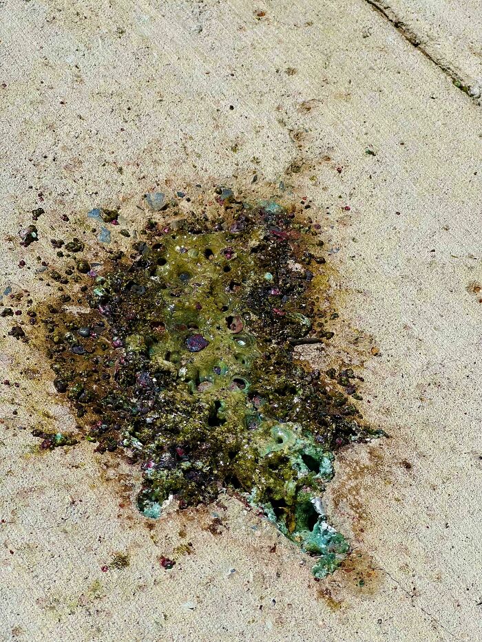 Mildly interesting green moss pattern on concrete with small stones scattered around.